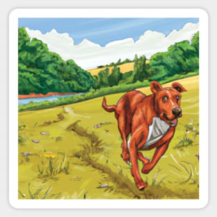 Landscape Dog Run Sticker